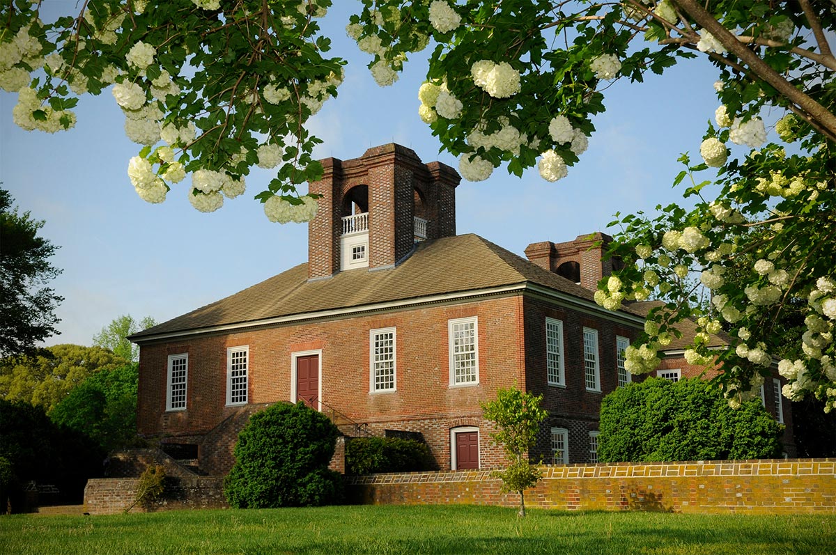 Brick building with overhanging branches in foreground